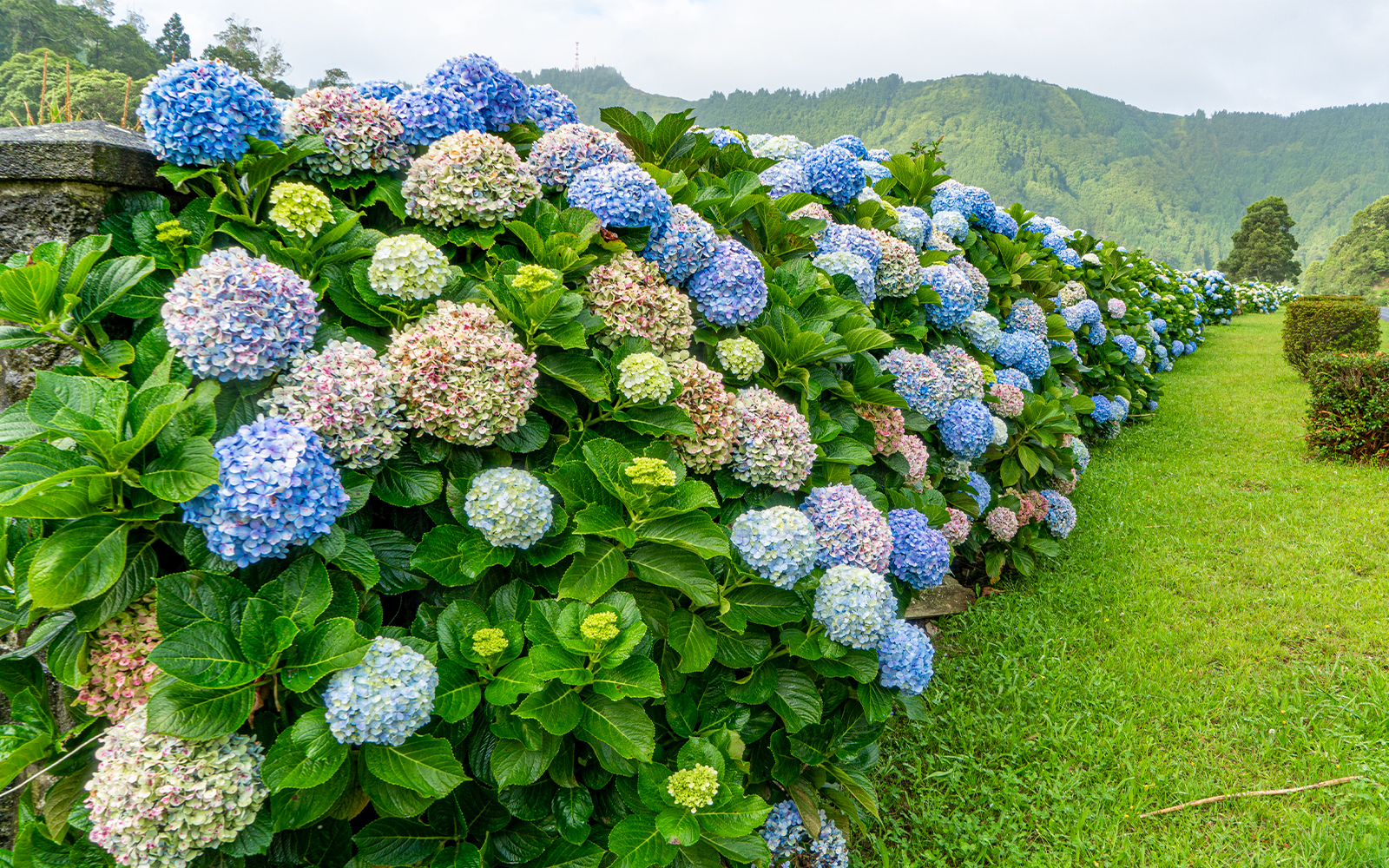 Sao Miguel Island Flower Festival