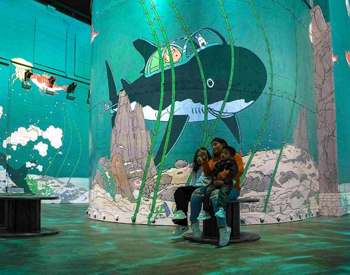 Guests viewing animated underwater art at Fabrique des Lumières.