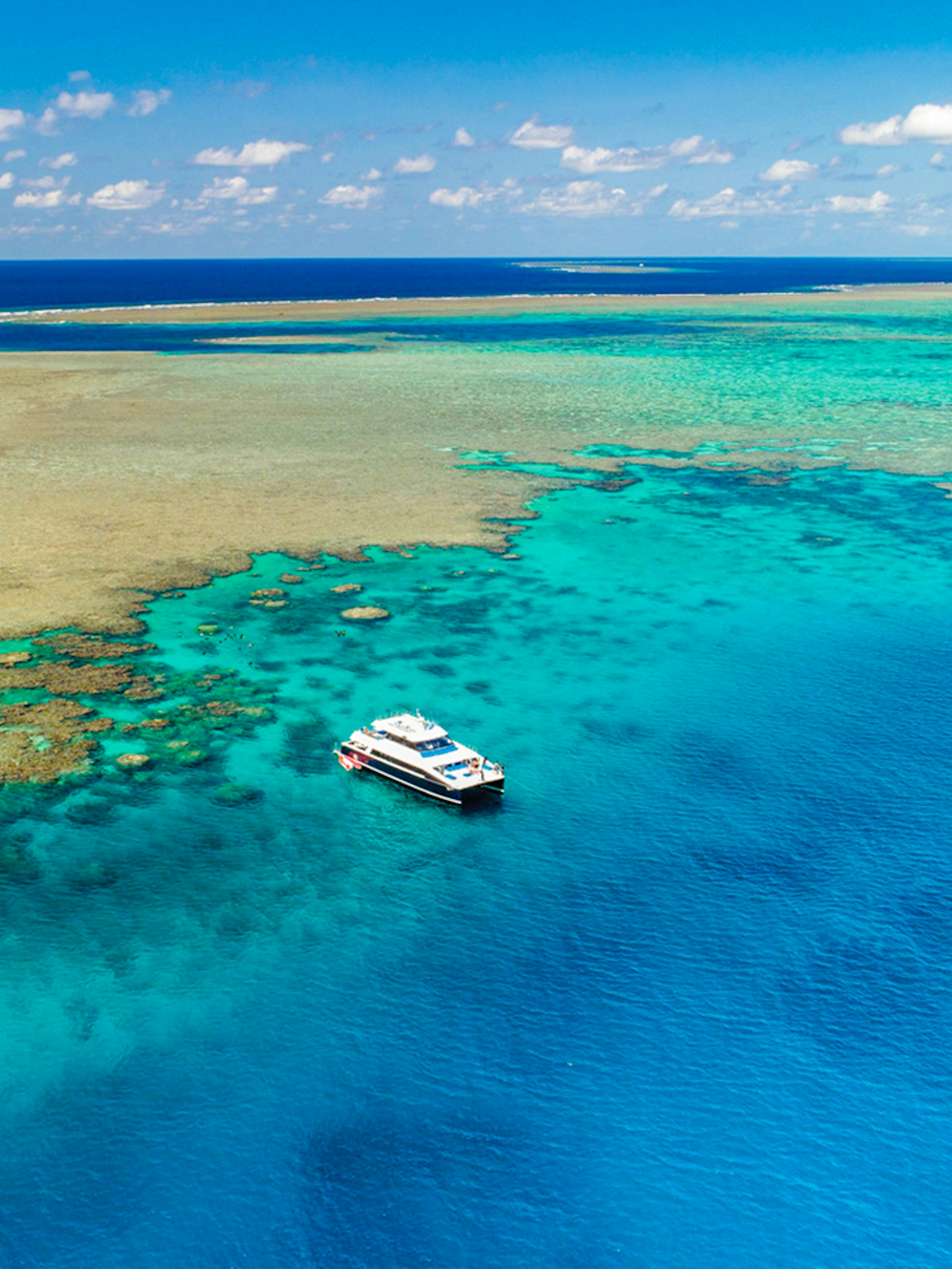 Cruise boat near coral reef on Port Douglas to Low Isles Island snorkel tour.