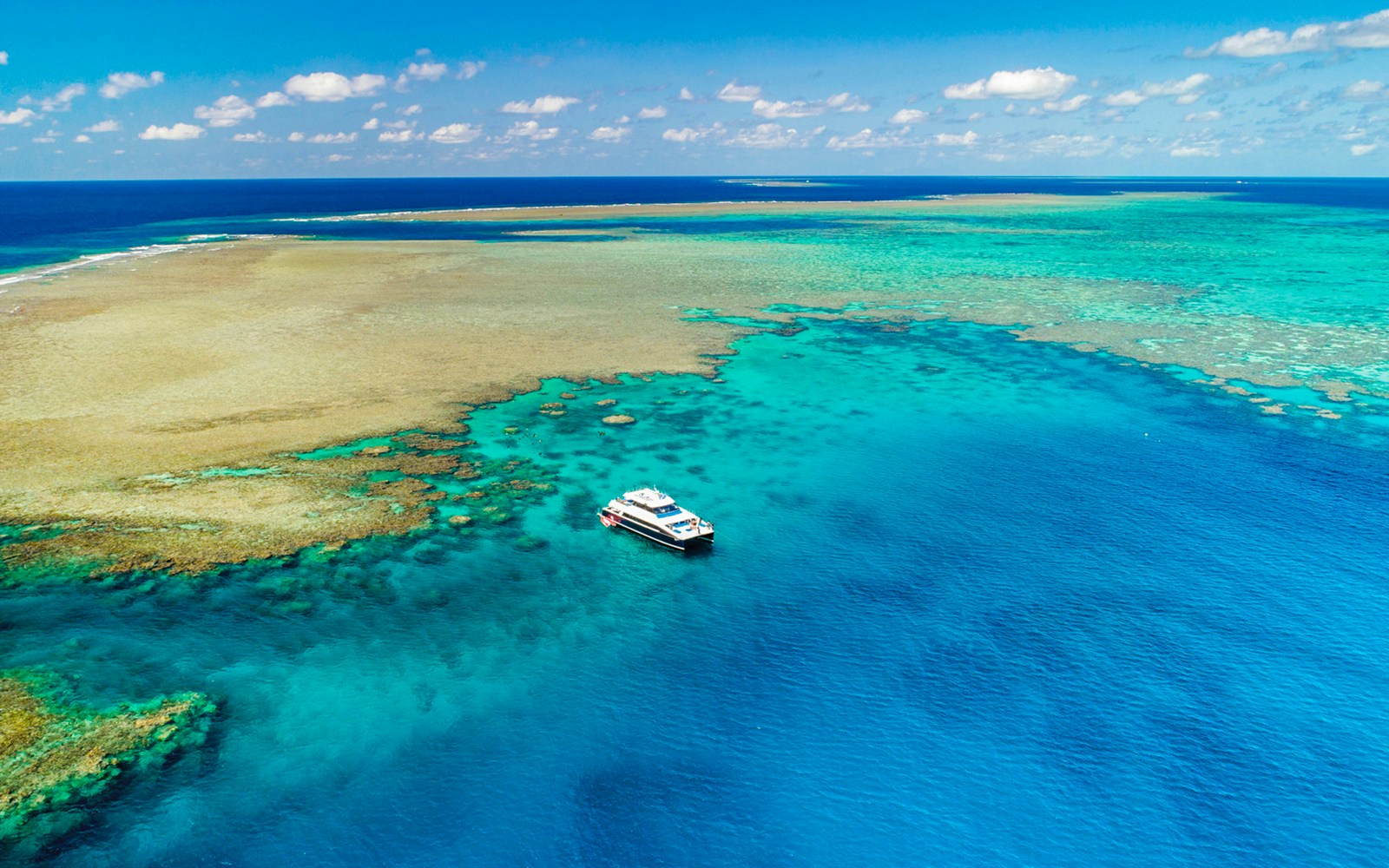 Cruise boat near coral reef on Port Douglas to Low Isles Island snorkel tour.