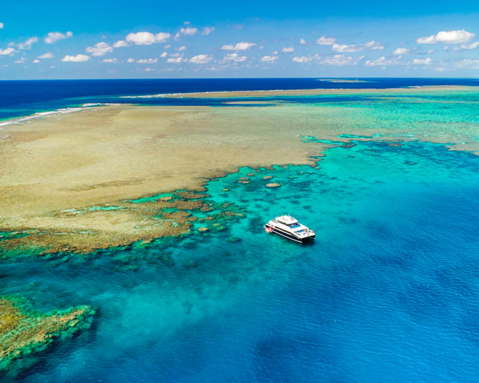 Port Douglas to Low Isles Island Cruise with Guided Snorkel