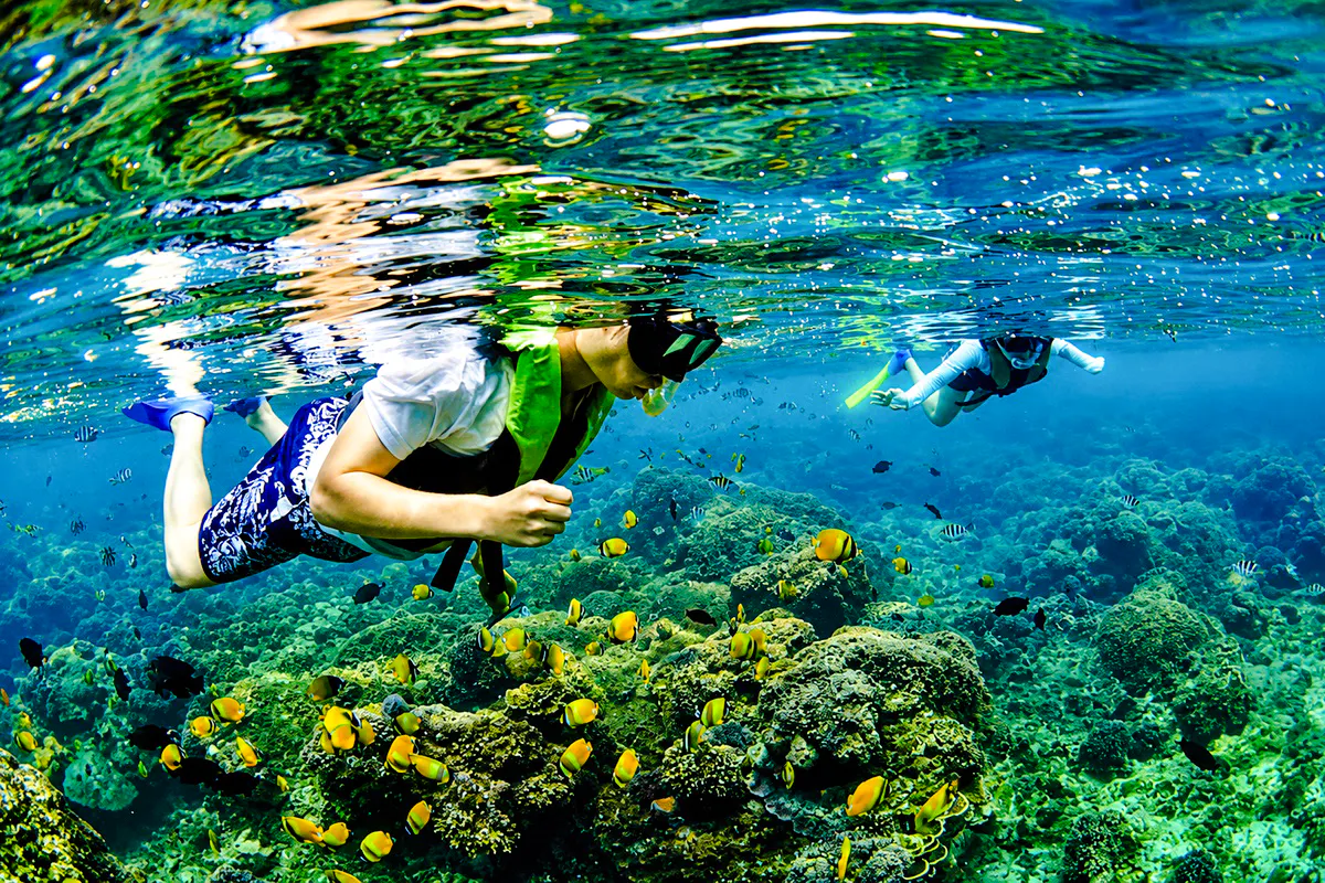 private schnorcheltour auf bali am sanur-strand-2