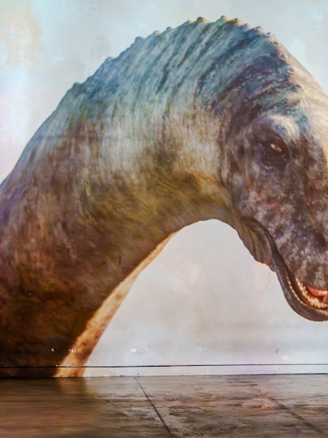 Person interacting with a dinosaur projection at Prehistoric Planet exhibition, Atelier des Lumières.