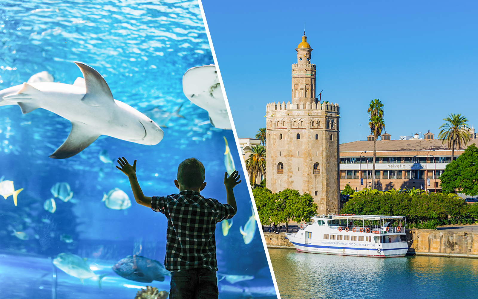 Seville Aquarium and Guadalquivir river cruise Tickets