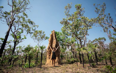 From Darwin: 3 Day Kakadu + Litchfield 4WD Adventure Camping Tour