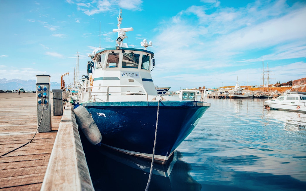 Vinur boat docked for whale spotting cruise in Iceland.