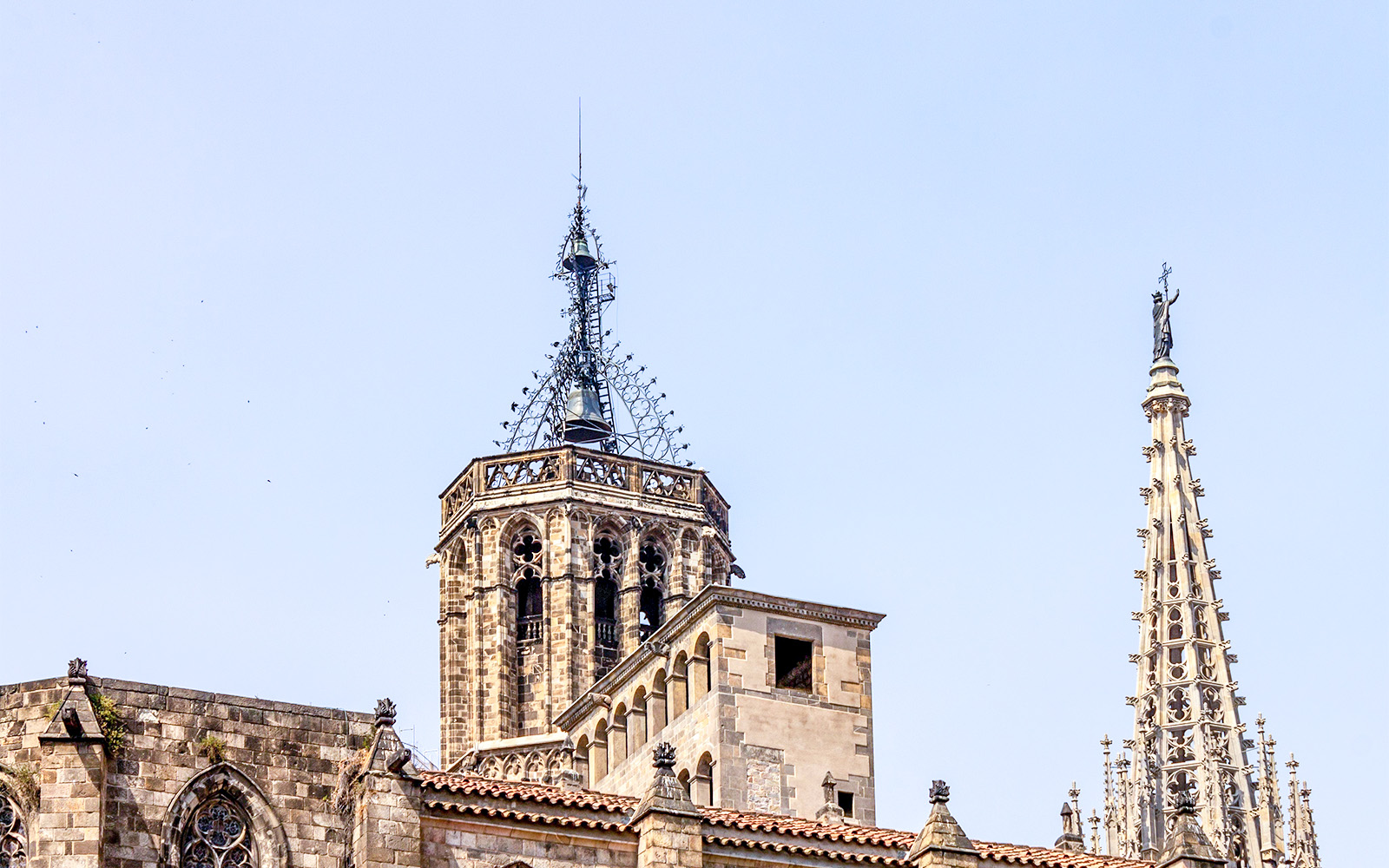 Barcelona Cathedral Facts