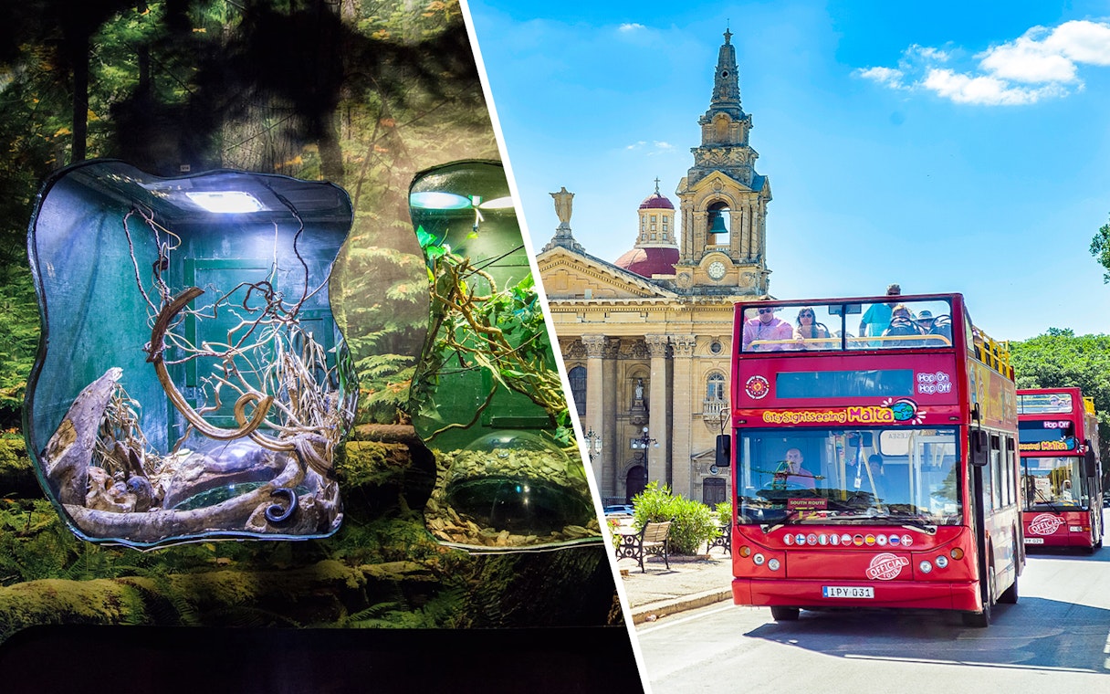 Malta National Aquarium exhibit and red hop-on hop-off sightseeing bus near a historic building.
