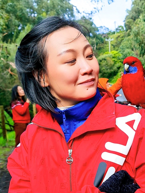 Tourist with parrot on shoulder at Kennet River, Great Ocean Road Guided Tour.