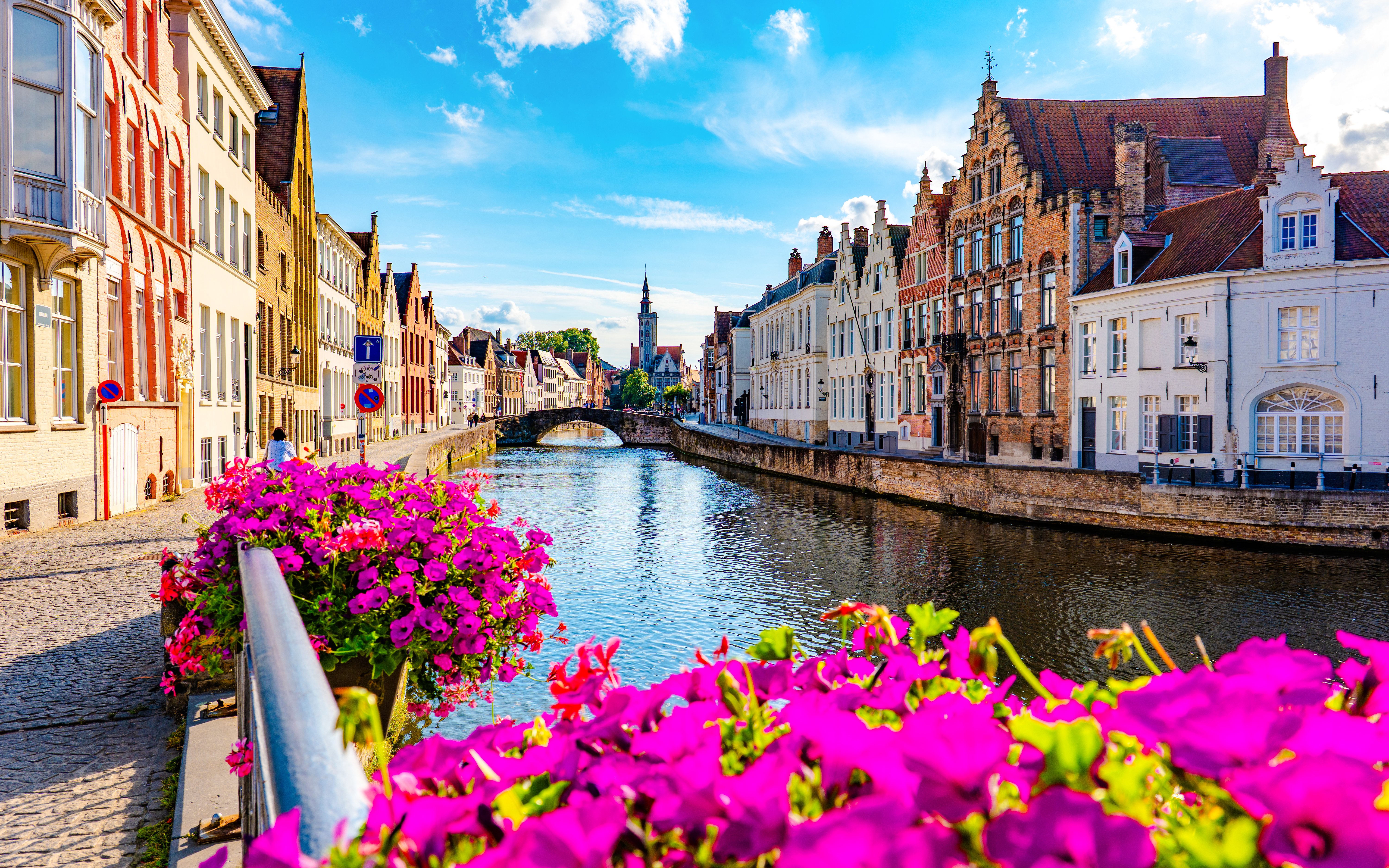 Brugge canal with historic buildings and vibrant flowers along the water.