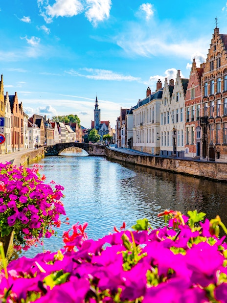 Brugge canal with historic buildings and vibrant flowers along the water.