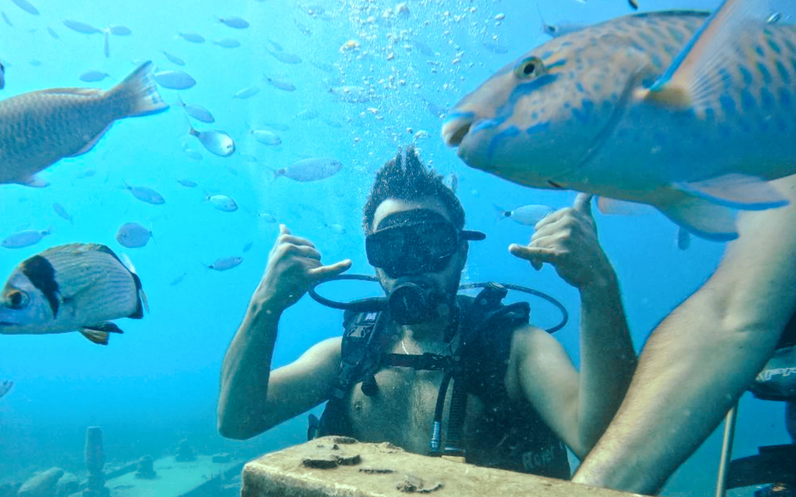 Side: Underwater Museum Guided Diving Tour with Lunch and Hotel Transfers