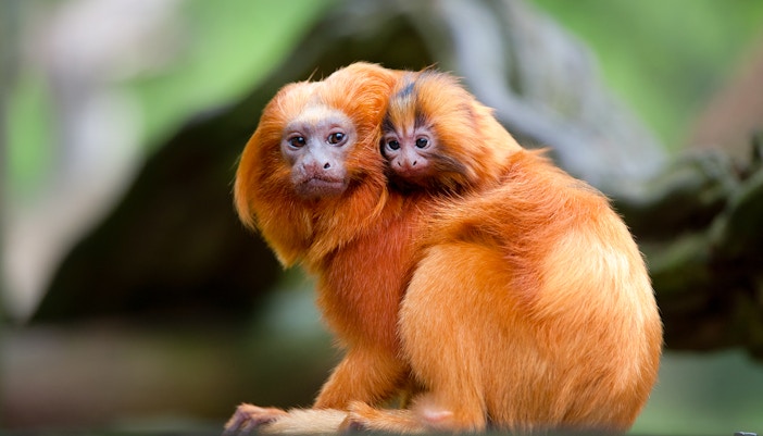 zoo leipzig