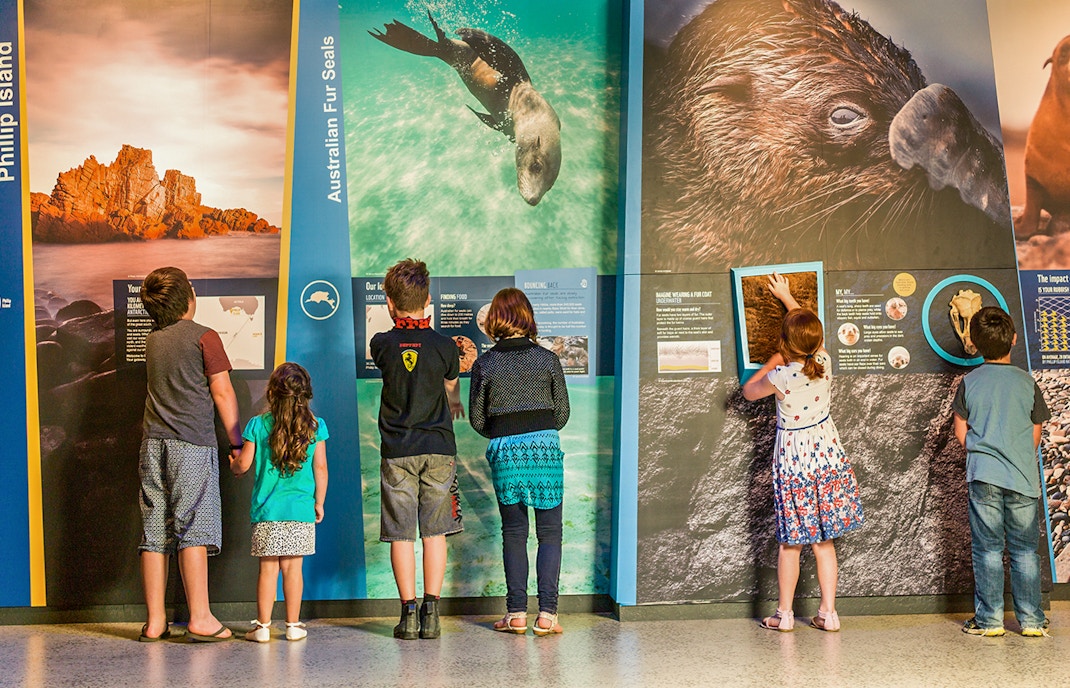 Children exploring Antarctic exhibits at The Nobbies Centre, featuring Australian fur seals.