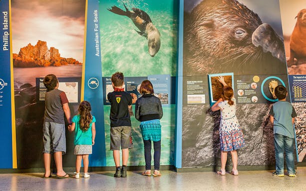 Children exploring Antarctic exhibits at The Nobbies Centre, featuring Australian fur seals.