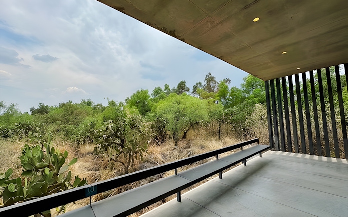 Anahuacalli Museum terrace overlooking lush greenery and cacti in Mexico City.