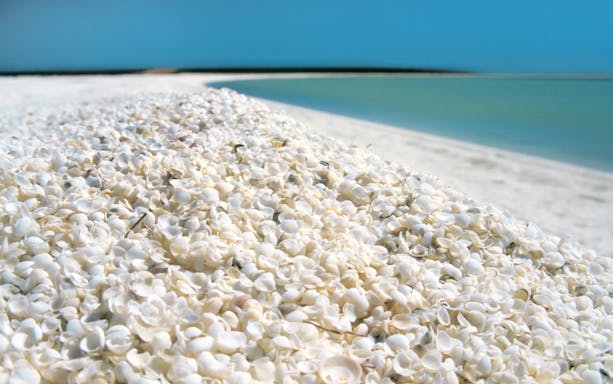 Shell Beach with white shells and turquoise water, Outback Coast Tour.