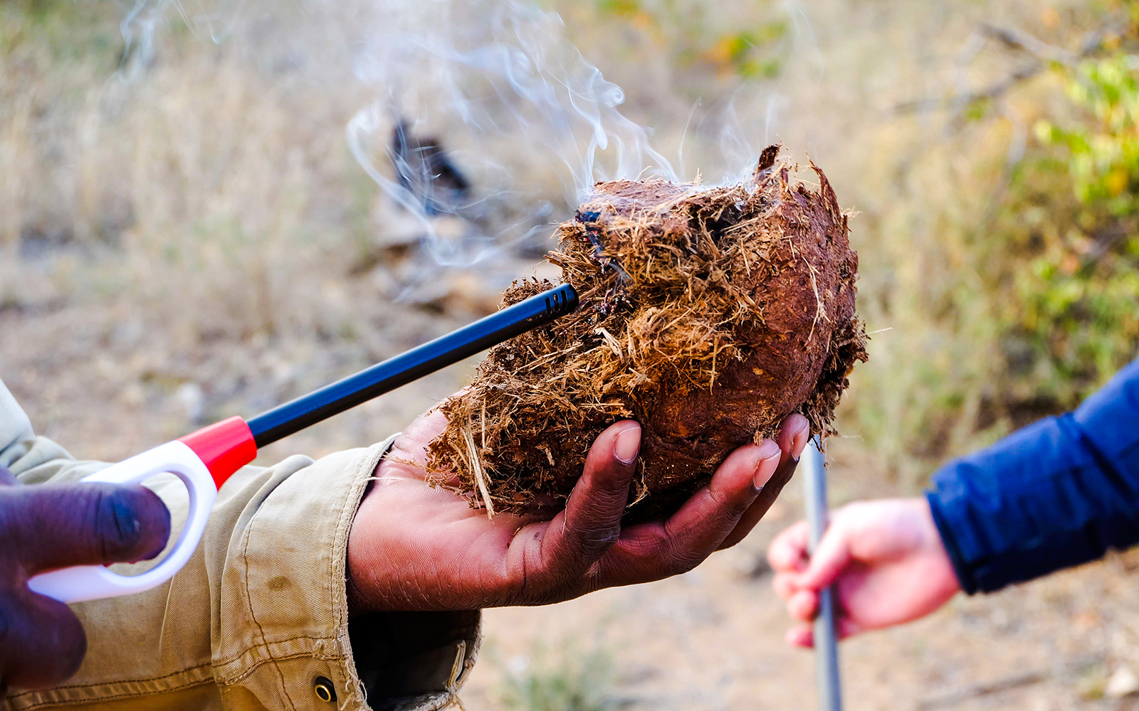 Fil gübresi geri dönüşümü