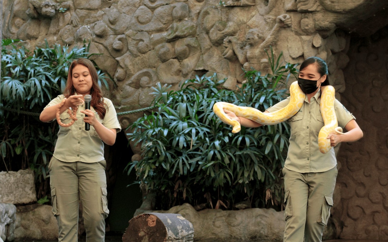 Biglietti per il Bali Safari Park: safari diurno/notturno e pasti facoltativi — 3