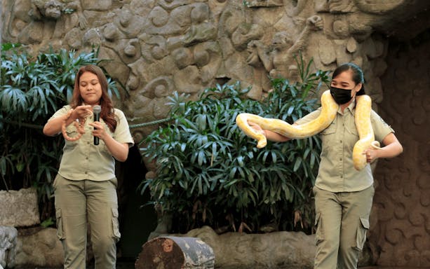 Handlers showcasing snakes at Taman Safari Bali wildlife adventure.