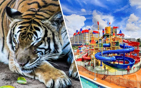 combo (bespaar 10%): a'famosa water theme park + safari wonderland tickets-1