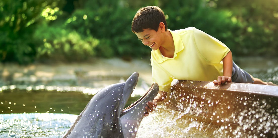 SeaWorld San Antonio