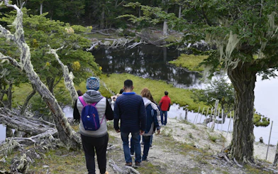 Hikers walking towards Escondido and Fagnano Lakes through lush forest trail.
