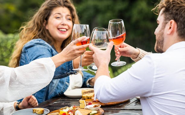 Friends toasting with wine and enjoying a meal outdoors.
