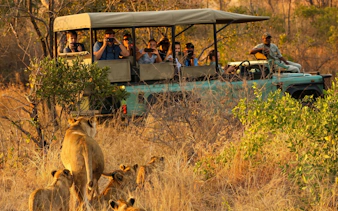 Safari vehicle observing lions in Kruger Park.