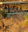 Kruger National Park