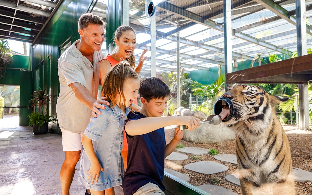 Family feeding a tiger at Tiger Island, Dreamworld, Gold Coast.