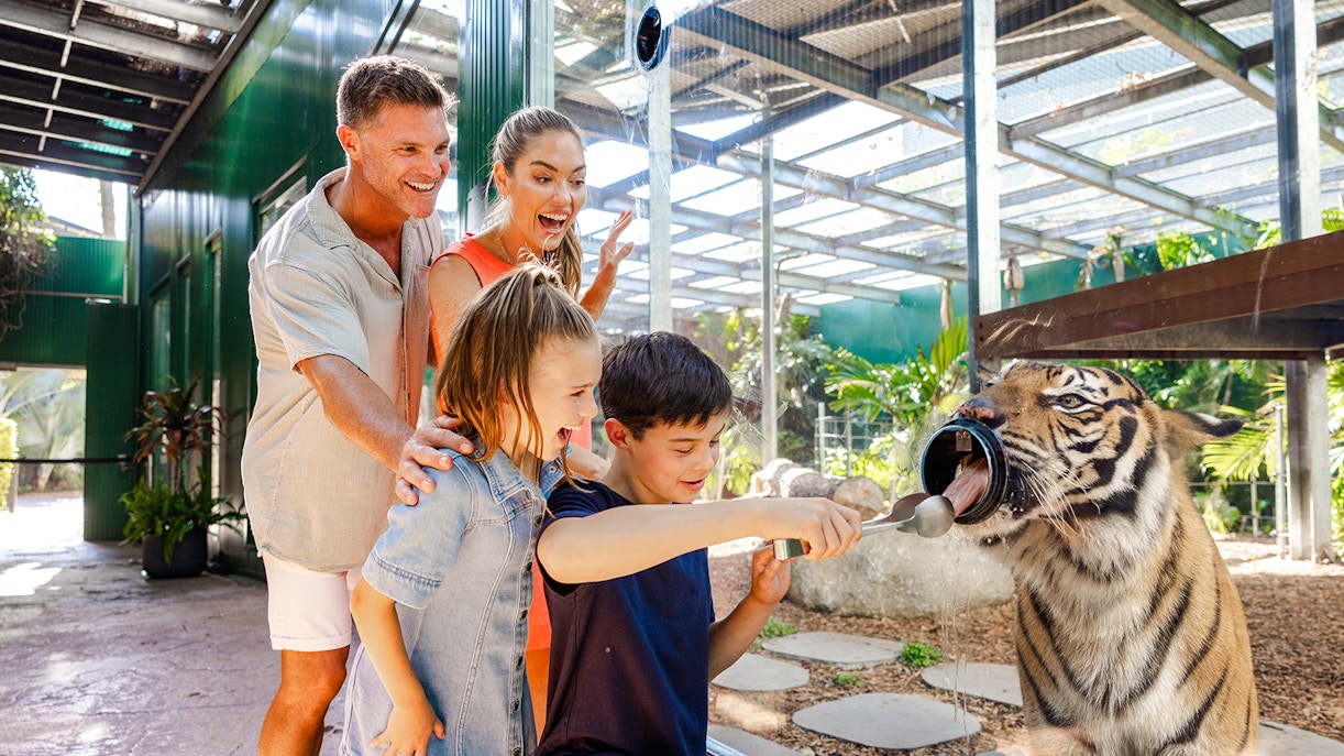 Tiger feeding experience at Tiger Island, Dreamworld, Gold Coast.