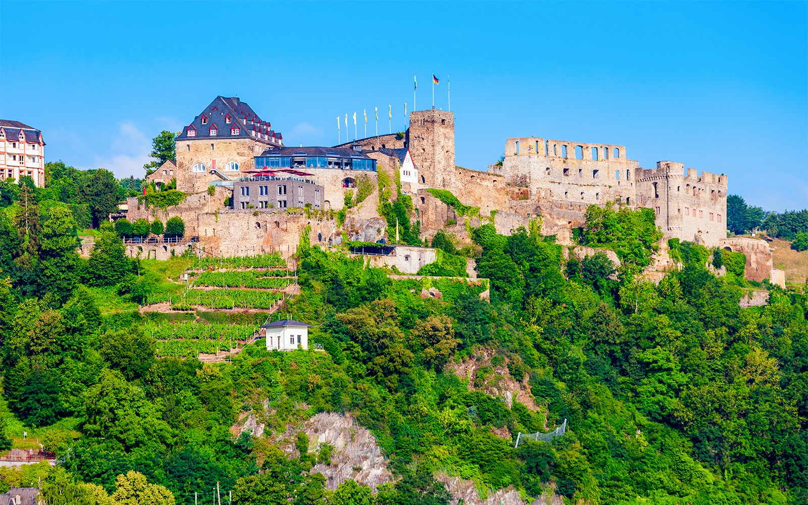 Weinberge und grüne Bäume umgeben die auf einem Hügel gelegene Burg Rheinfels