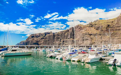Yachts and boats docked at Los Gigantes marina with cliffs in the background.