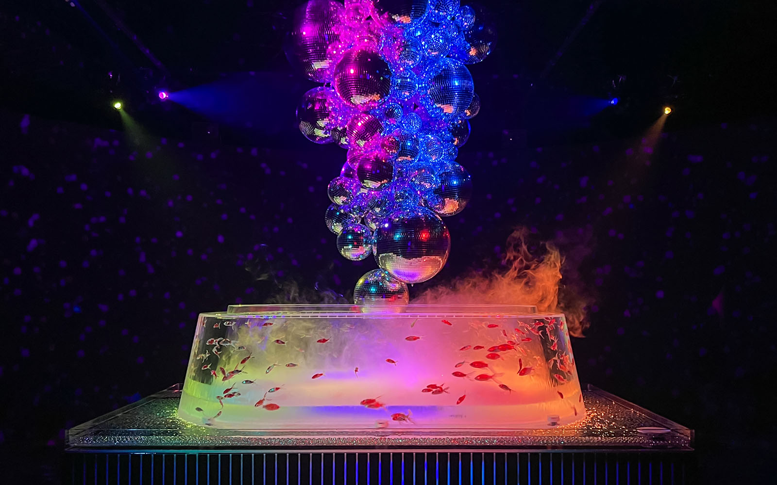 Skull-shaped installation with colorful lights and fish at Art Aquarium Ginza.