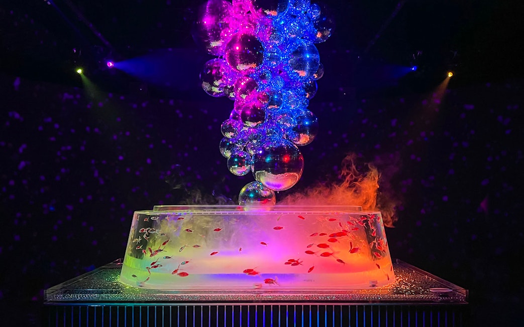Skull-shaped installation with colorful lights and fish at Art Aquarium Ginza.