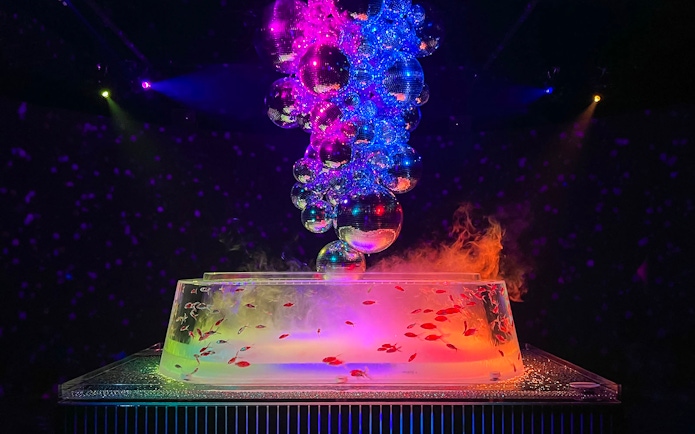 Skull-shaped installation with colorful lights and fish at Art Aquarium Ginza.