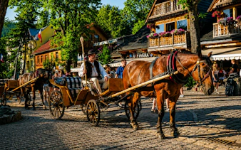Horse-drawn carriage on cobblestone street in Zakopane, Poland, with traditional wooden buildings.
