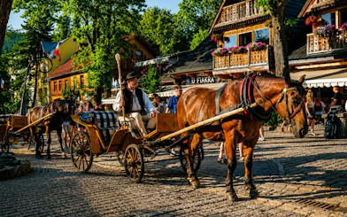 Horse-drawn carriage on cobblestone street in Zakopane, Poland, with traditional wooden buildings.