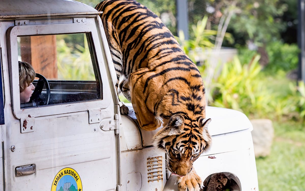 taronga zoo entry ticket-1 taronga zoo entry ticket-1