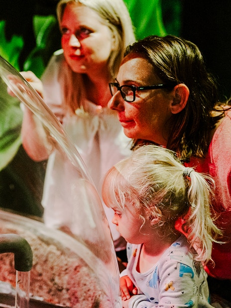 Guests observing marine life at SEA Life Brighton.