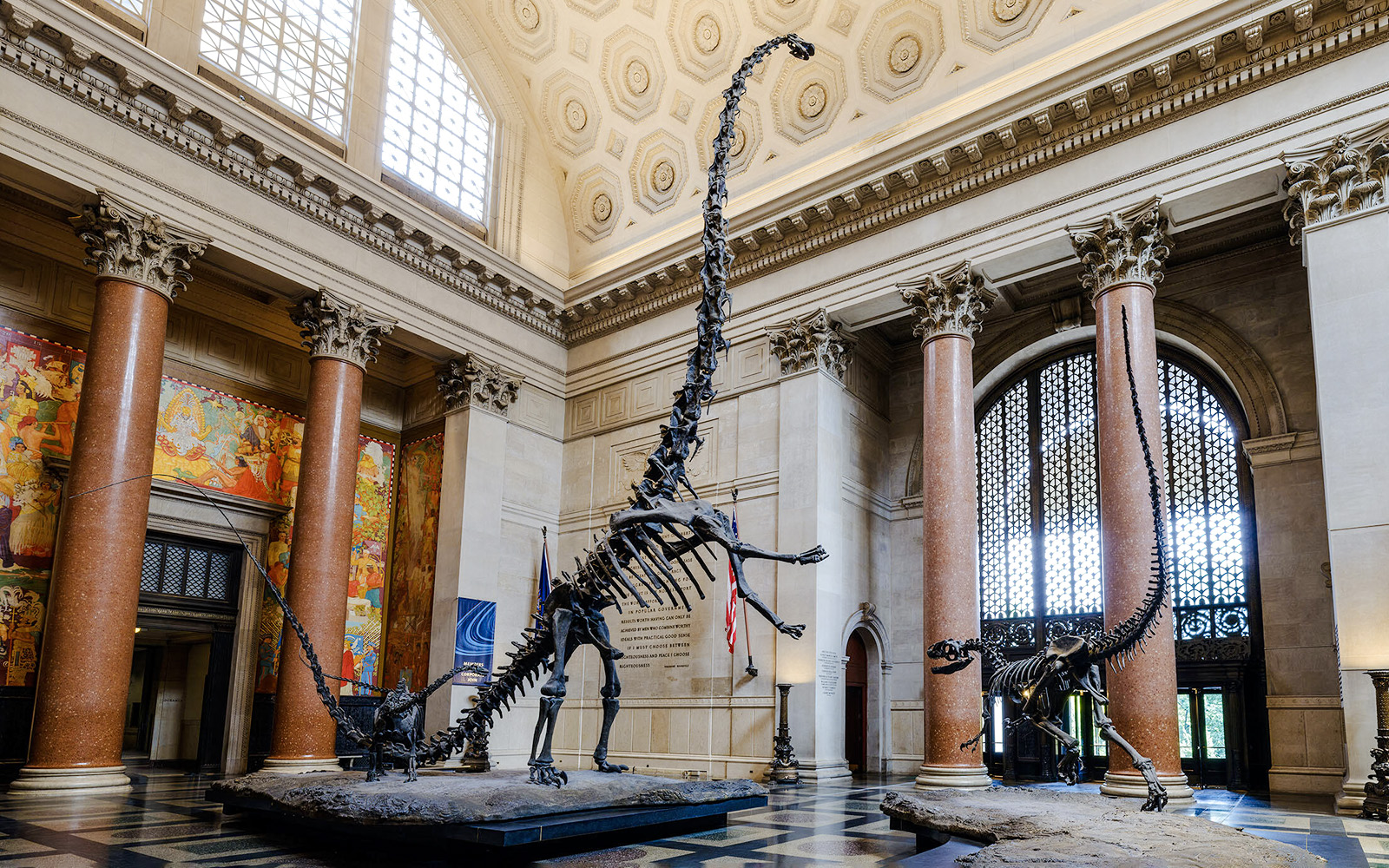 Dinosaur skeletons in Theodore Roosevelt Memorial Hall, American Museum of Natural History, New York City.