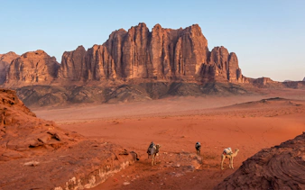 Camels in Wadi Rum desert with sandstone cliffs in the background, Jordan.