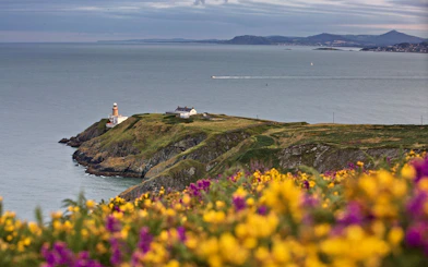 Howth Head lighthouse and cliffs with wildflowers, view from Dublin coastal tour.