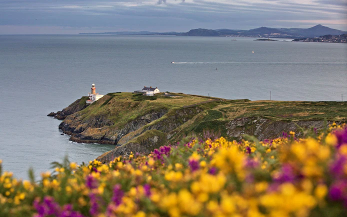 Howth Head lighthouse and cliffs with wildflowers, view from Dublin coastal tour.