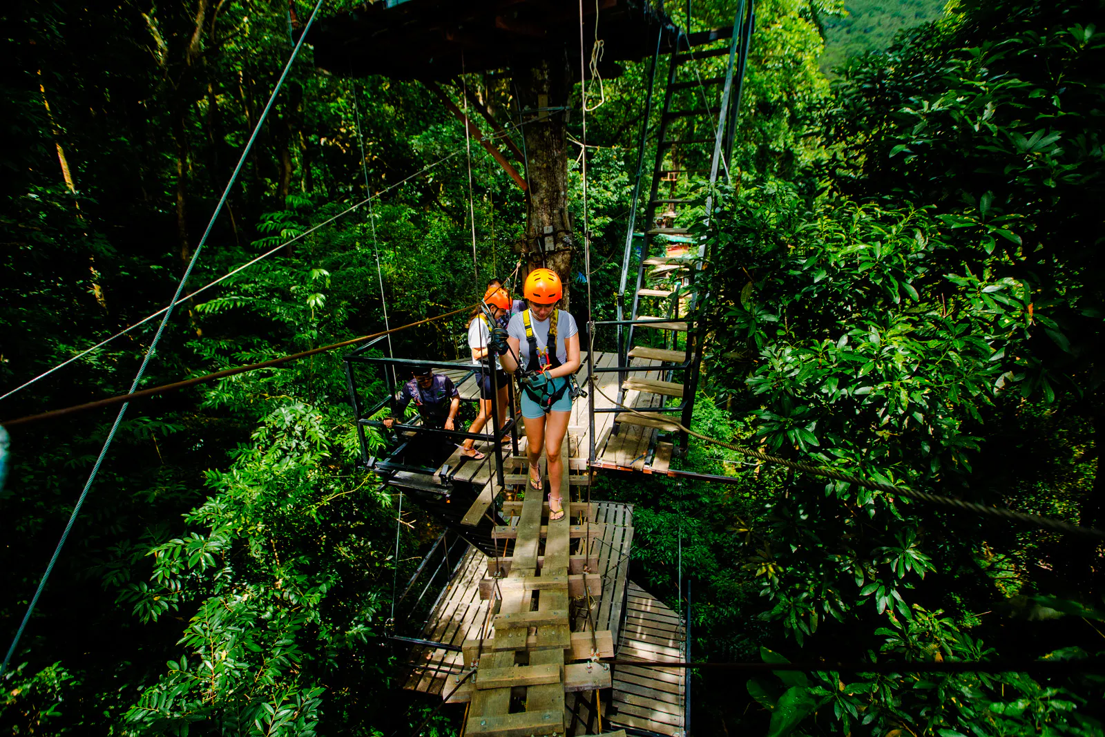 Visitors crossing a tree bridge zipline in lush forest, Koh Samui.