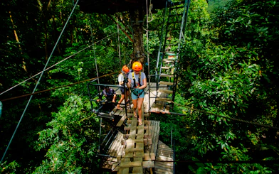 Visitors crossing a tree bridge zipline in lush forest, Koh Samui.