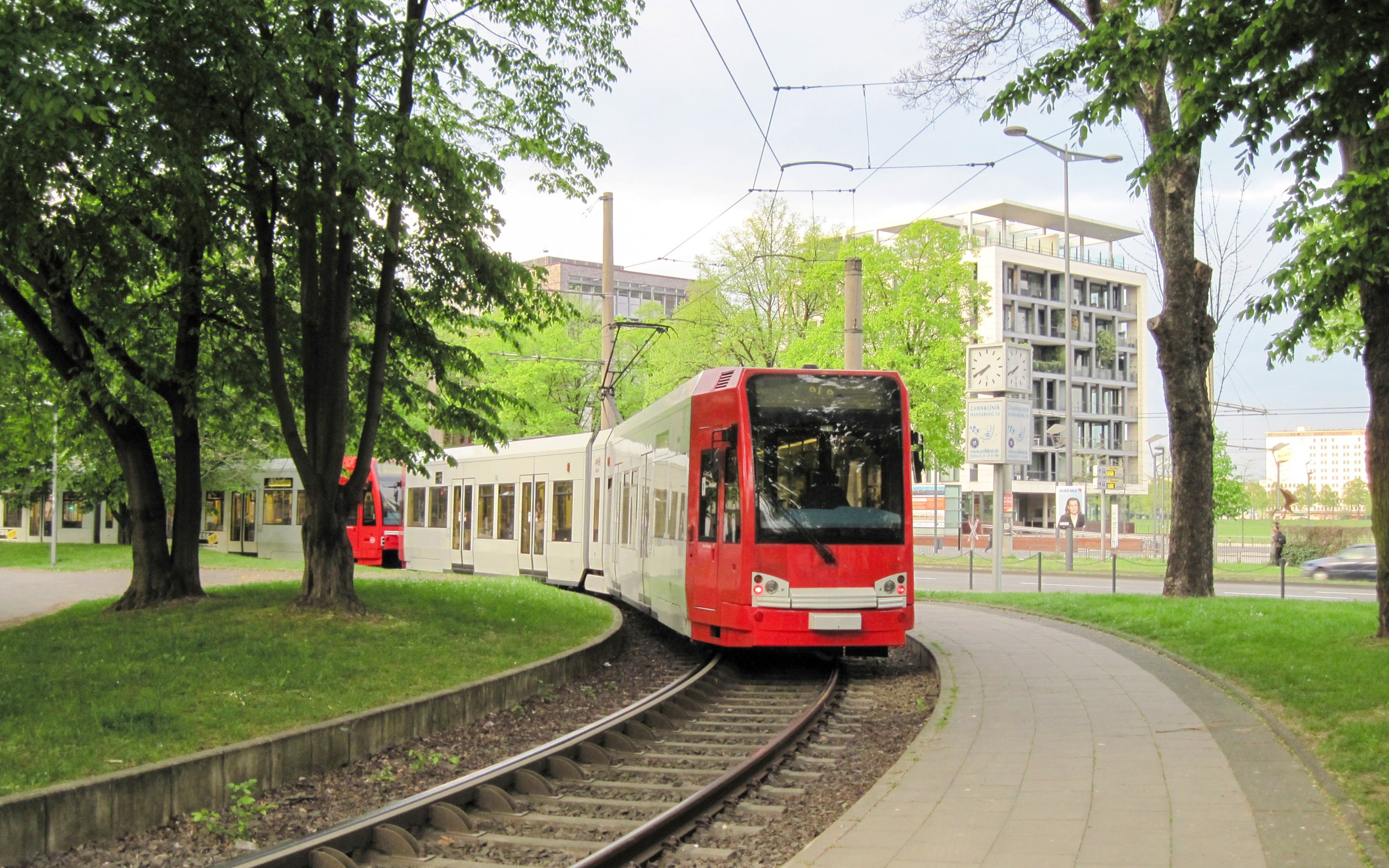 Tram traveling through a tree-lined street in Cologne, Germany.