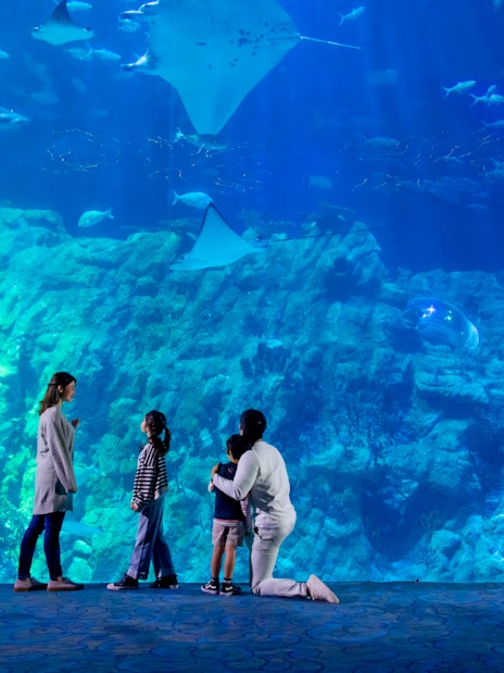Visitors observing marine life at The Grand Aquarium, Ocean Park Theme Park.