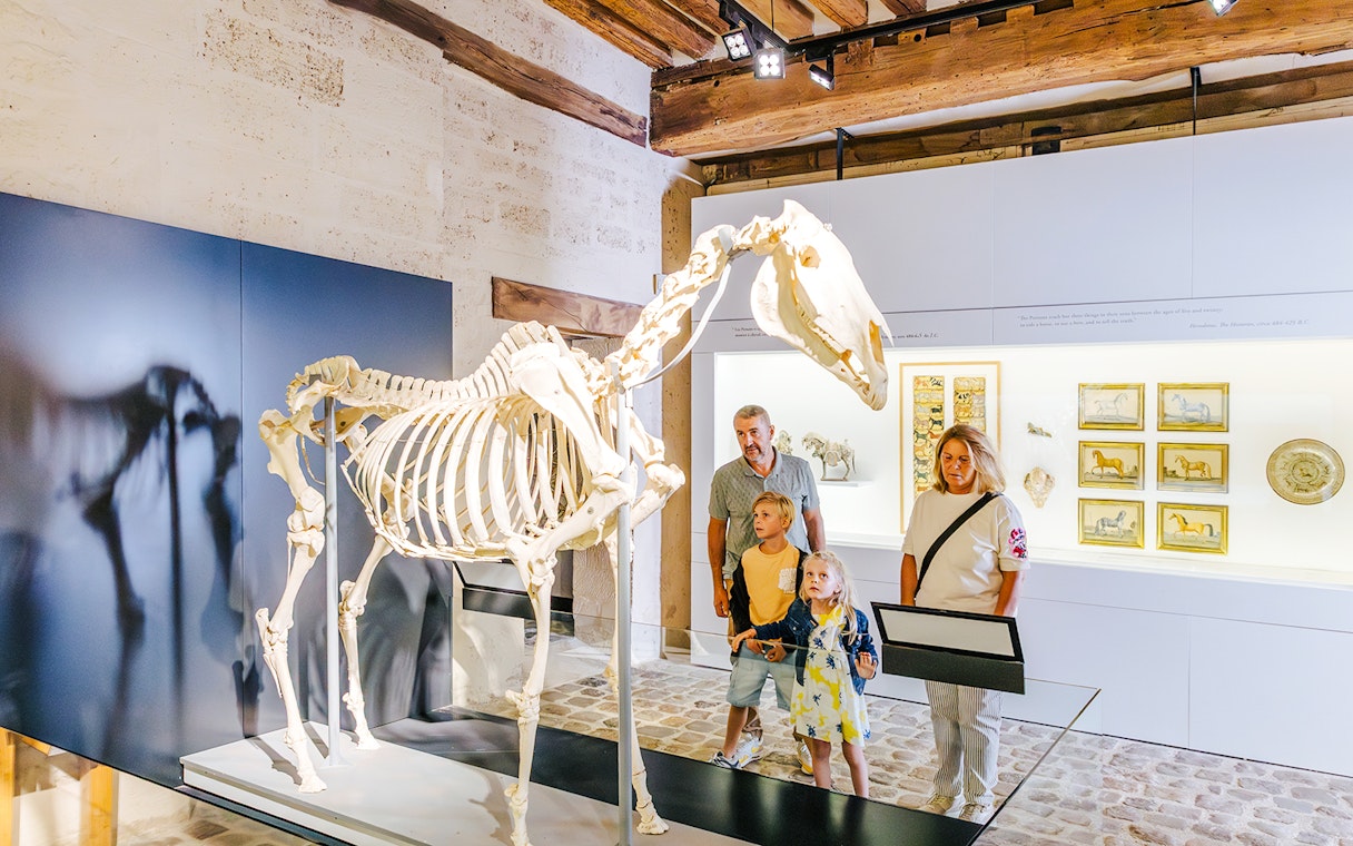 Family observing horse skeleton exhibit at Chateau of Chantilly museum.